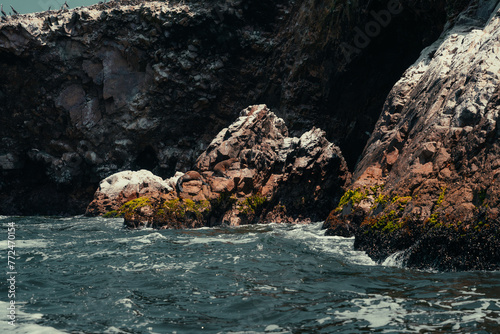 sea ​​lion resting on a rock at high tide in Paracas, Peru
