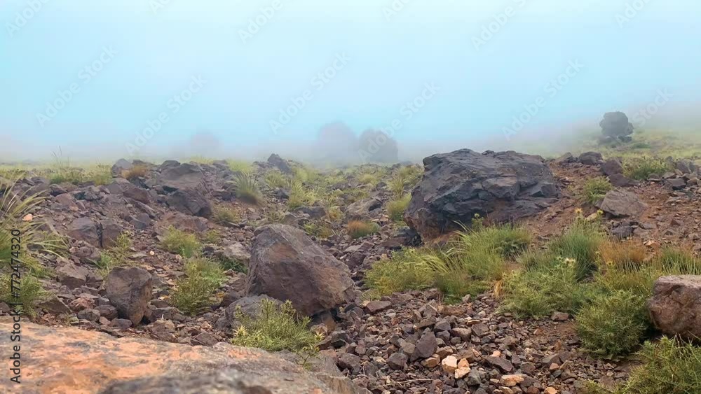 Rainy weather in mountains. time lapse of Misty fog blowing over pine tree forest. footage of spruce forest trees on the mountain hills at misty day. Morning fog at beautiful autumn forest. Rainy weather in mountains. time lapse of Misty fog blowing over pine tree forest. footage of spruce forest trees on the mountain hills at misty day. Morning fog at beautiful autumn forest.