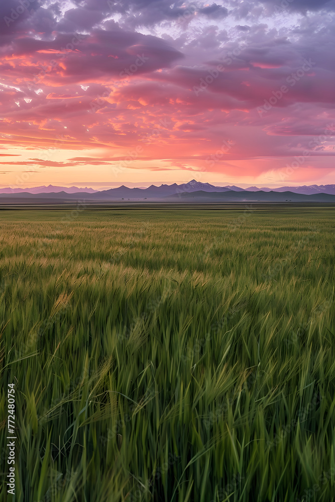 Serene and Majestic: A Scenic View of the Kazakh Countryside Amidst a Setting Sun