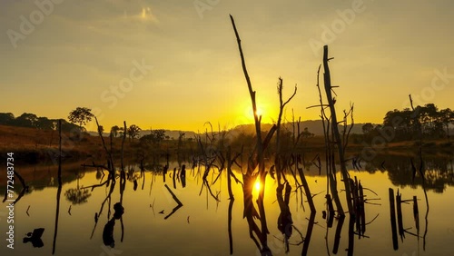 Timelapse of nature landscape, river, lake, pond, movement of water and waves, ripples and smooth surface of the water during the day, at sunset in the evening with summer.