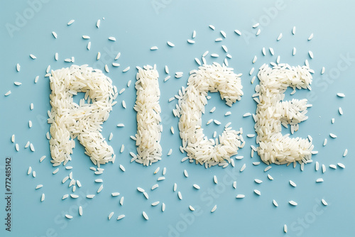 Rice word Typography on Light Blue Background photo