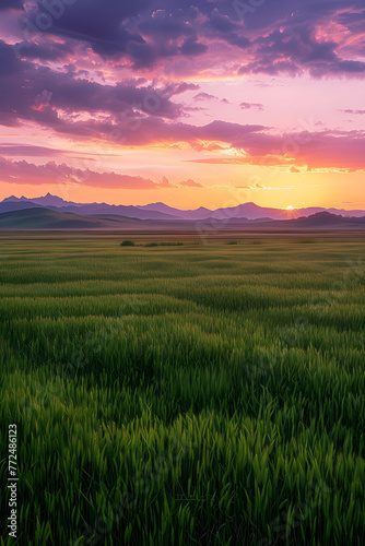 Serene and Majestic: A Scenic View of the Kazakh Countryside Amidst a Setting Sun