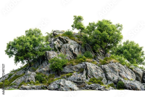 A group of trees situated on a rocky hill. Perfect for nature-themed designs