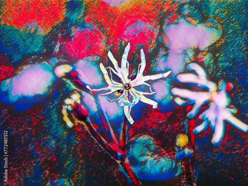 abstract illustration of wild flower in multicolored tones, with blurred background