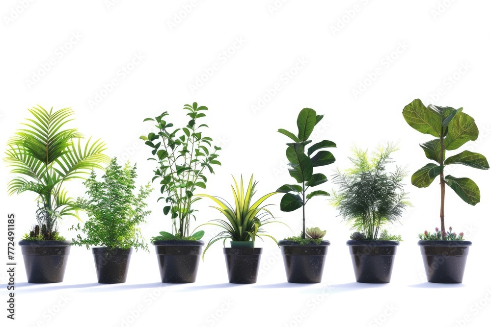 A row of potted plants on a clean white surface. Ideal for interior design concepts A row of potted plants on a clean white surface. Ideal for interior design concepts