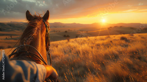 Horse and rider facing sunset in field