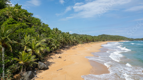 Photography of a beautiful beach. Crystal clear waters with blue tones. Gentle waves and green palm trees that give it a tropical touch. Natural landscape. Paradisiac island photo