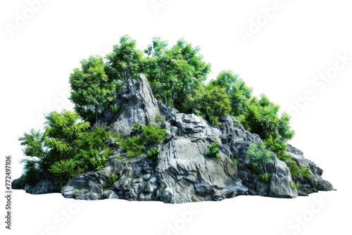 A group of trees growing on top of a rock. Ideal for nature and landscape themes