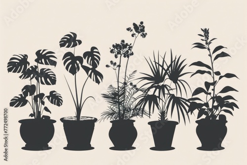 A group of potted plants lined up together. Perfect for interior design projects
