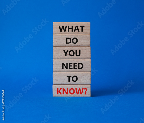 What do You need to Know symbol. Wooden blocks with words What do You need to Know. Beautiful blue background. Business and What do You need to Know. Copy space.