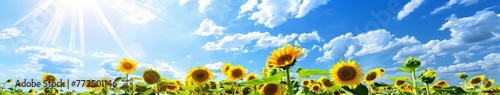 Sunflowers in Bright Blue Sky
