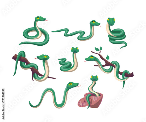 Cartoon Different Green Snake Set Serpent Concept Flat Design Style. Vector illustration of Funny Reptile Character