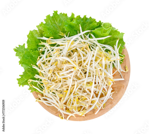 Bean sprouts transparent png