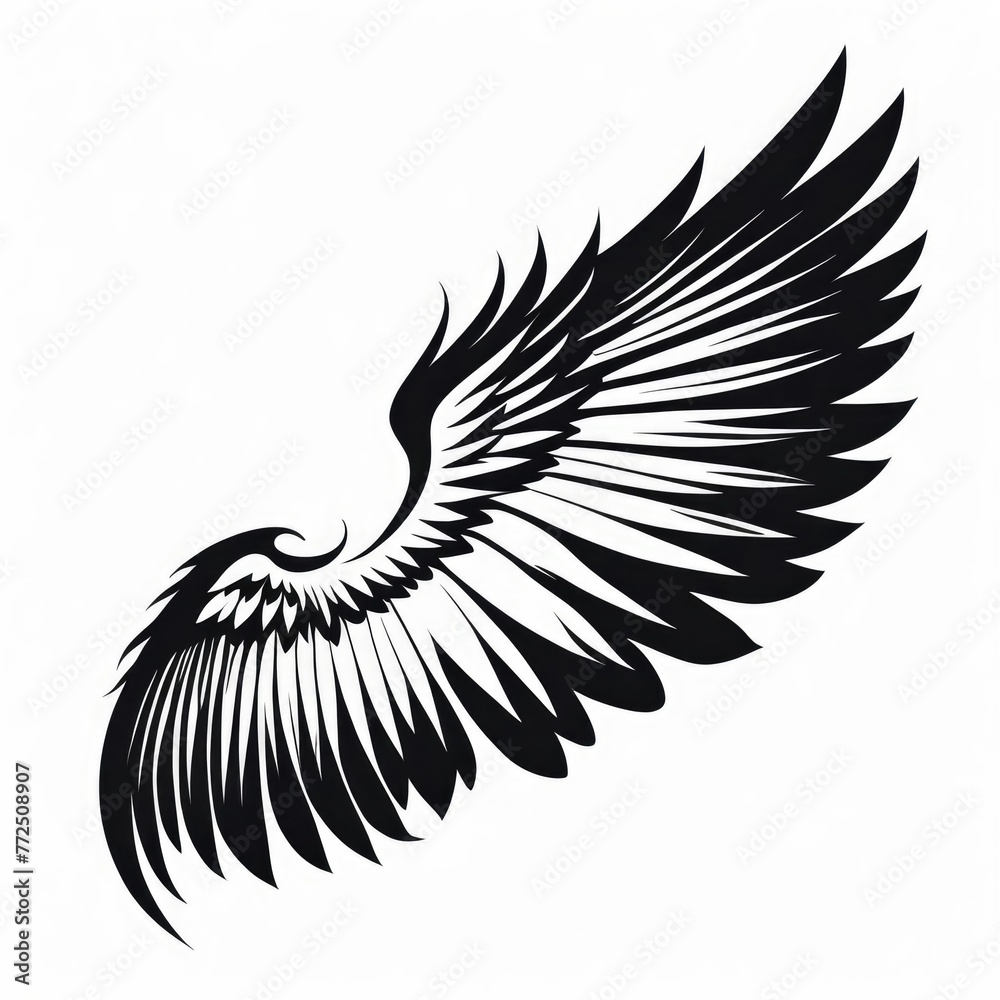 Obraz premium black wings white background isolated