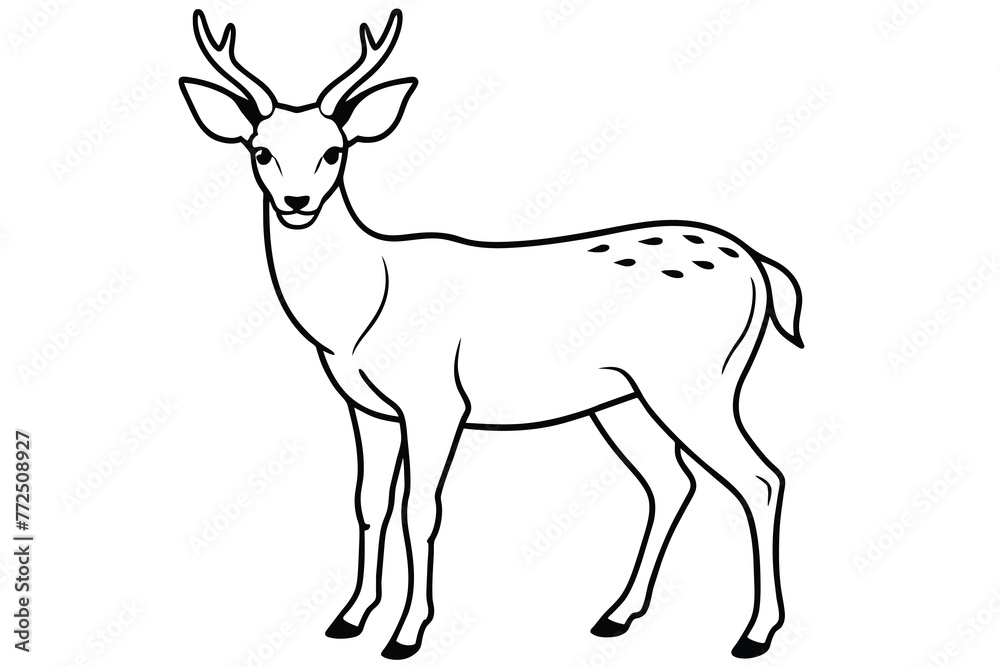 tailed buck or deer line art vector illustration