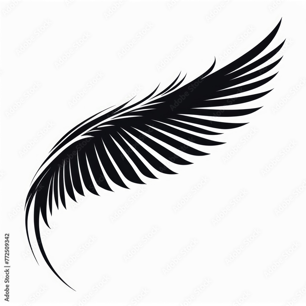 Obraz premium black wings white background isolated