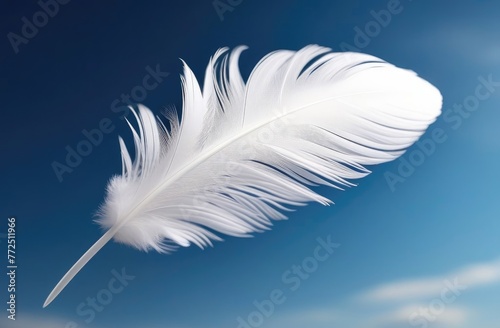 A white fly feather on blue background. photo