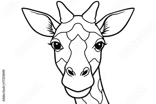 Close-up of giraffe face line art vector illustration