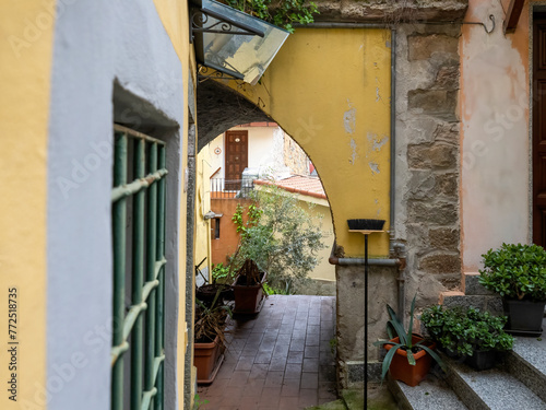 The village of Biassa, near Spezzia (Liguria Italy). photo