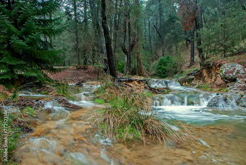 Arroyo de Linarejos, en el parque natural de Cazorla, Segura y Las Villas photo