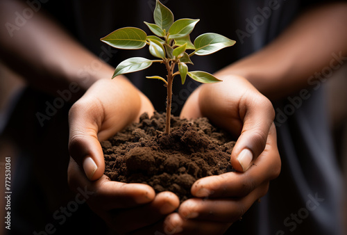 A woman's hands hold a plant and earth