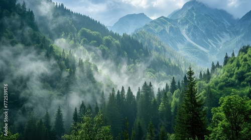 Misty mountainous landscape with lush forests © StasySin