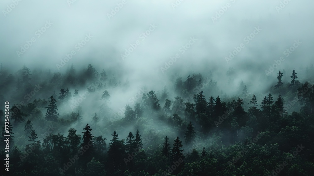 An ethereal black mist enveloping a serene landscape, evoking a sense of mystery and wonder, minimalist, real photo, stock photography ai generated high quality image An ethereal black mist enveloping a serene landscape, evoking a sense of mystery and wonder, minimalist, real photo, stock photography ai generated high quality image