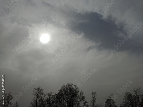 Sky with dust and sand from the Sahara in air, sun above horizon with dark trees. Natural view of rare weather phenomenon over Europe in March 2024 in Poland. Topics: meteorology, air pollution