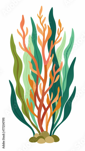 Snow White Background and Marine Flora: Algae Illustration

