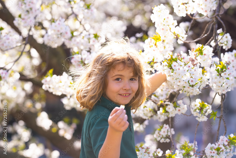 Little kid smelling spring flower outdoor. Portrait of smiling child face near blossom spring flowers. Kid among branches of spring tree in blossoms. Cute kids face surrounded by spring blossom