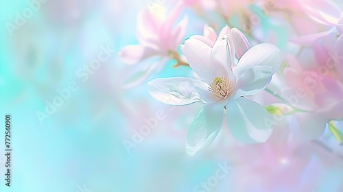 a close up of a pink flower on a blue and green background with a blurry image in the background.