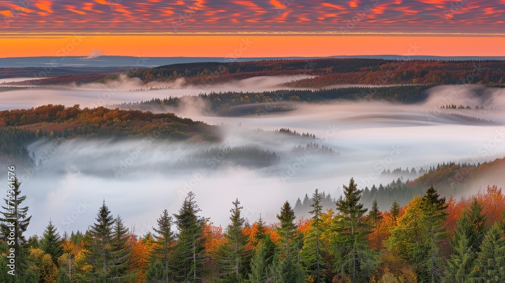 a forest filled with lots of trees next to a forest filled with lots of orange and yellow trees on top of a lush green hillside.