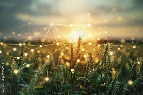 A visually appealing representation of a wheat field intertwined with stocks and shares symbols on an agricultural investment backdrop. photo