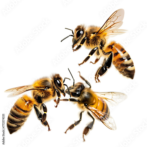 Close-Up of Honeybees in Mid-Air Interaction Against a White Background. AI.