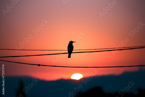 Silhouetted bird perched gracefully on power line against twilight
