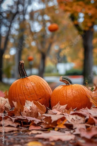 Two Pumpkins on Pile of Leaves
