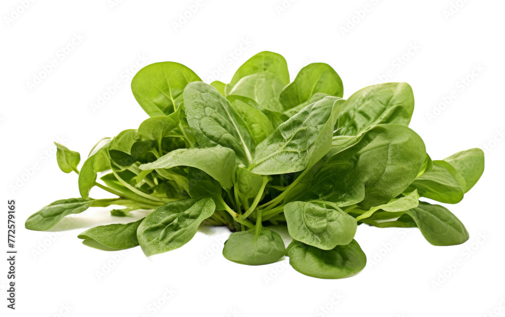 A collection of lush green leaves creating a vibrant display against a pristine white backdrop A collection of lush green leaves creating a vibrant display against a pristine white backdrop