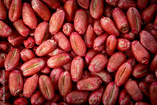 Close up of treated wheat seeds 