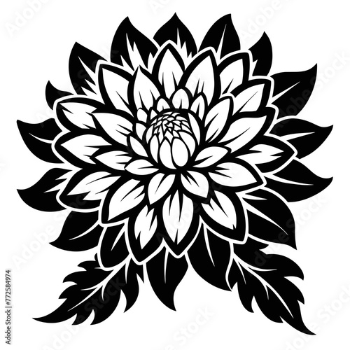 Chrysanthemum Flower Illustration Captivating Floral Art for Your Designs
