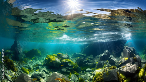 Emerald Underwater Ecosystem: A Mesmerizing Display of Algae’s Vital Role in Marine Life