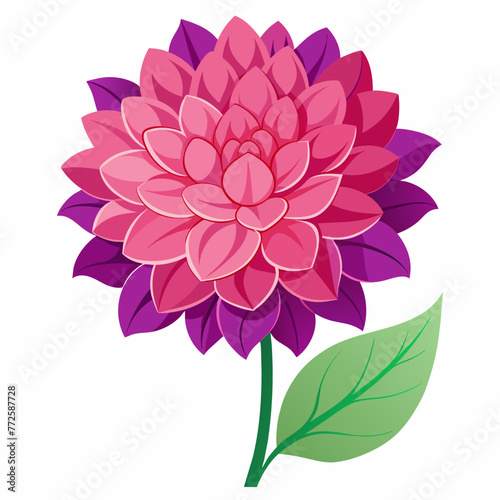 Dazzling Dahlia Vector Graphics Designs with Stunning Floral Art