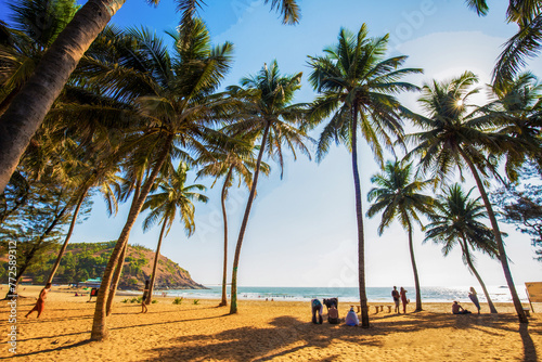 Panorama oа Amazing beach in southern India - Goa (or Kerala or Karnataka) photo