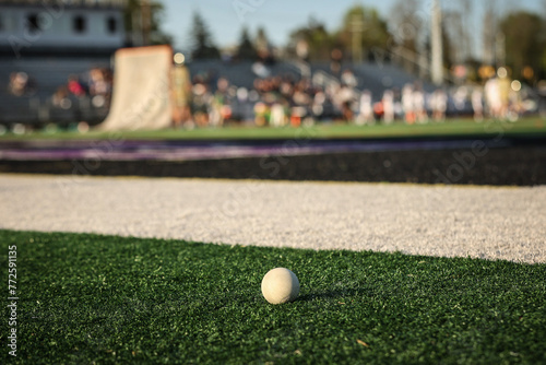 lacrosse ball and field photo