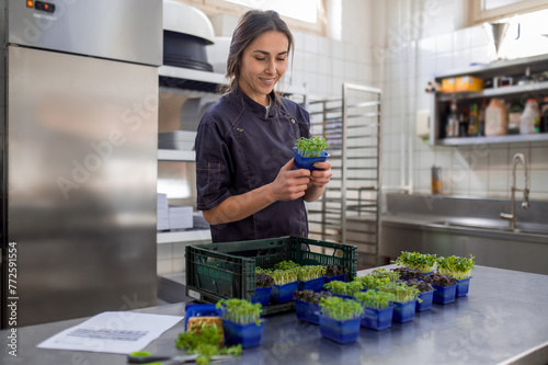 Restaurant employee holding microgreen for preparing vegan meal