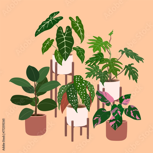 Set of different home plants in flowerpots on stands. Houseplants for home decoration. Urban jungle. Hand drawn vector illustration isolated on orange background, flat cartoon style.