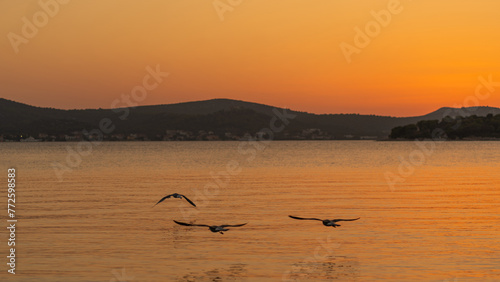 Sunset view of flying flock of birds over water with orange sky reflection, Telascica National Park, Croatia