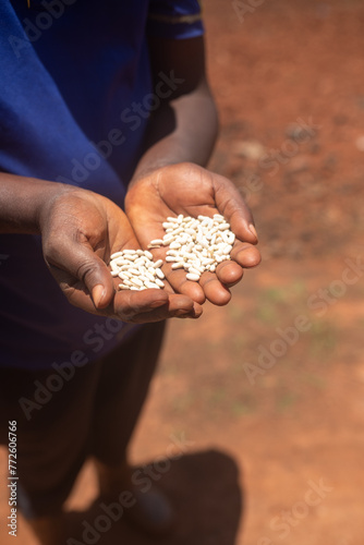 jeune fermier africain qui montre des graines dans les mains photo