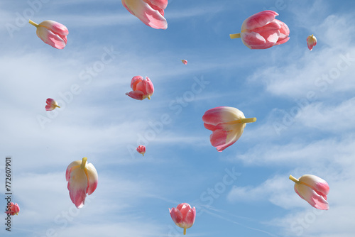 Fototapeta Naklejka Na Ścianę i Meble -  Tulip flowers in the sky flying. Summer and Spring aesthetic idea.