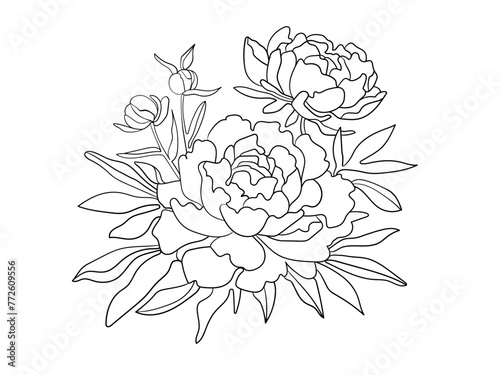 Peonies clipart continuous line art drawing isolated on white background. Peony collection. Vector illustration