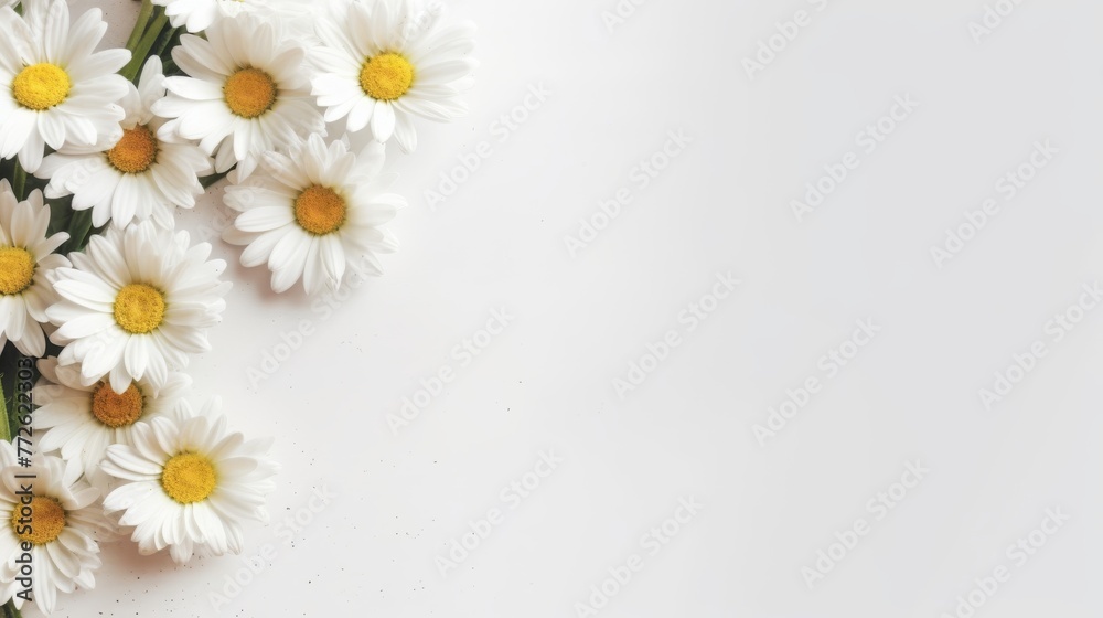 Daisy Flower Decoration on a White Background, Perfect for Wedding Design. Generative AI Daisy Flower Decoration on a White Background, Perfect for Wedding Design. Generative AI